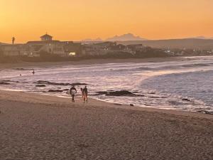 two dogs walking on the beach at sunset at Casa Mia in Jeffreys Bay
