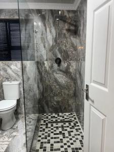 a bathroom with a shower with a toilet and a glass door at Oryx guest house in Oakdale +17 photos
