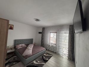 a bedroom with a bed and a window at Agropensiunea Maya-Andrei in Novaci-Străini