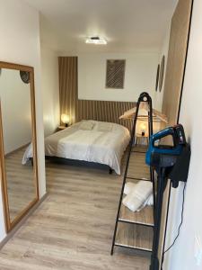 a room with a bed and a ladder and a mirror at Chambre double centre ville Bergerac in Bergerac