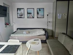a small room with a bed and a couch at Apartament Studio Centrum in Człuchów