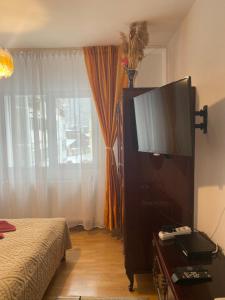 a bedroom with a flat screen tv and a bed at Apartament Maria in Slănic-Moldova