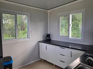 a kitchen with white cabinets and two windows at Villa Océanne in Grand-Bourg
