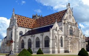 a large church with a tile roof on top at La Petite Bressane in Bourg-en-Bresse