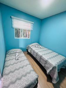 two beds in a room with blue walls and a window at Cabaña Los Lagos 2 in Lenca