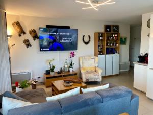 a living room with a blue couch and a tv at Flo location Fréjus in Fréjus