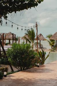 a string of lights on a beach near the water at Totem Beach Club - Celestun in Celestún