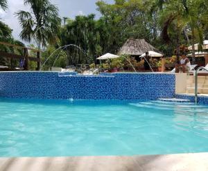 Piscina di The Log Cab-Inn o nelle vicinanze