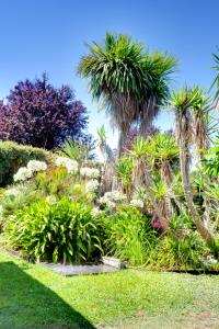 een tuin met palmbomen en groene planten bij Chambres d'hôte Ô Bois Plage in Gujan-Mestras