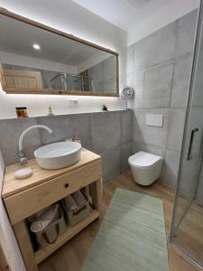 a bathroom with a sink and a toilet and a mirror at Panorama Tatry Apartment in Jezersko