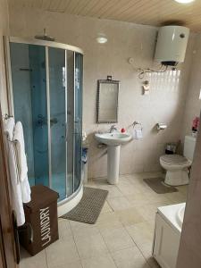 a bathroom with a shower and a sink and a toilet at Osprise Residencies in Tema
