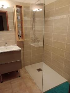 a bathroom with a shower and a sink at Maison Alba Rossa 56 in Serra-di-Ferro