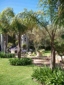 a garden with trees and plants in a yard at At Villa Fig Guest House in Constantia