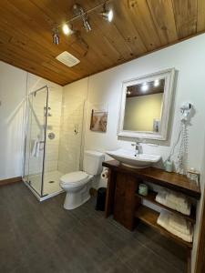 un bagno con wc, lavandino e doccia di Gîte du Haut des Arbres a Saguenay Altre 41 foto