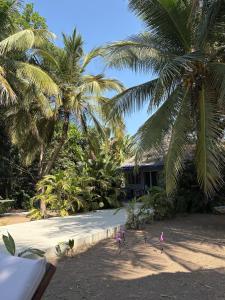 En have udenfor Villa Maria