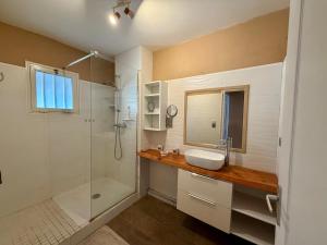 a bathroom with a sink and a shower at Apartment with exceptional views, Saint-Joseph in Saint-Joseph