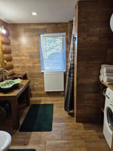 een badkamer met houten wanden, een wastafel en een wasmachine bij Pryvitannya Sontsyu in Skhidnitsa +16 foto's