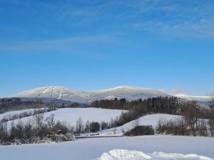 Příroda nedaleko apartmánu