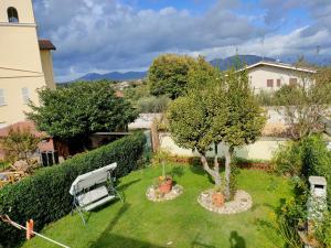 a garden with a bench and a tree at Il villaggio affittacamere in Valmontone