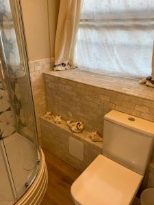 a bathroom with a toilet and a shower at The Somerton Hideaway in Somerton +14 photos