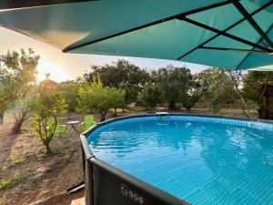 a swimming pool with an umbrella in a yard at Quinta Ivonne in Montemor-o-Velho +40 photos