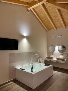 a bathroom with a bath tub and a tv at Hotel Recanto do Avia in Ribadavia