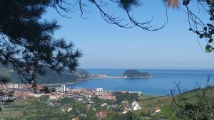 a view of a town and a body of water at alaia apartamento in Zarautz