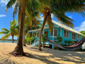 a house on the beach with two palm trees and a hammock at The Village Inn in Placencia