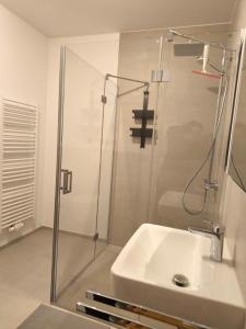 a bathroom with a shower and a white sink at SeeZeitApartments Whg 4 in Lembruch +12 photos