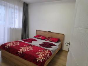 Gallery image of Double rooms apartament in Sînpetru