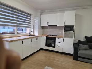 Gallery image of Double rooms apartament in Sînpetru