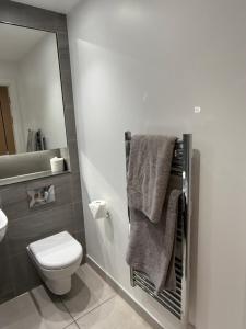 a bathroom with a toilet and a sink and towels at Chalk in Moffat +25 photos