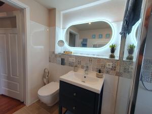 a bathroom with a toilet and a sink and a mirror at Santa Maria in Ferdinandshof +2 photos