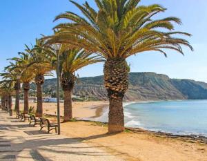 a row of palm trees on a beach with a bench at Casa Prainha da Luz in Luz