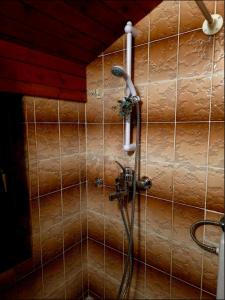 a shower with a hose in a bathroom at Kopitnik cosy cabin in Dol pri Hrastniku +26 photos