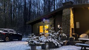 a cabin with a christmas tree in front of it at Forest Lodge in Petit Mesnil