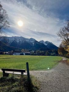 a park bench in a field with mountains in the background at Cozy Apartment in Inzell in Inzell +15 photos