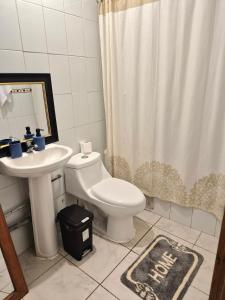 een badkamer met toilet en wastafel bij Departamento bahia fonck in Puerto Montt