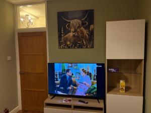 a television with a picture of a cow on the wall at 13 Chute Street central and homely in Exeter
