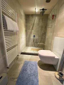a bathroom with a shower and a toilet and a blue rug at Weingut Mathis Apartment 1 Burgblick in Klingenmünster