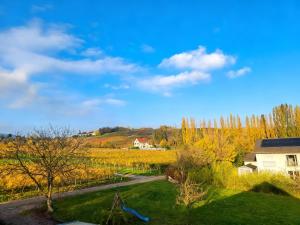 a view of a field with a house and trees at Weingut Mathis Apartment 1 Burgblick in Klingenmünster
