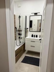 a bathroom with a sink and a shower and a mirror at Bratislava Cozy Corner Apartment in Vinohrady +14 photos