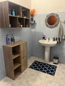 a bathroom with a sink and a mirror and a white sink at House Raghu in Rose Belle
