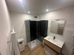 a bathroom with a shower and a sink at Mad'in Bethune in Béthune