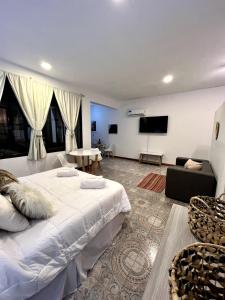 a large room with a bed and a tv at Welindo Loft in Salta