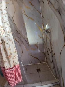 a bathroom with a shower with a shower curtain at Casa Entre Cerros in Futrono