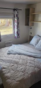 a large bed in a bedroom with a window at Bienvenue au Cap Ferret in Lège-Cap-Ferret +6 photos