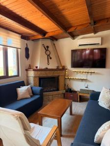 a living room with blue couches and a fireplace at Agnanti in Riglia