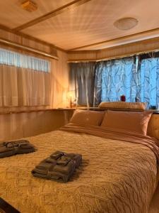 a bedroom with a large bed in a boat at Agnanti in Riglia