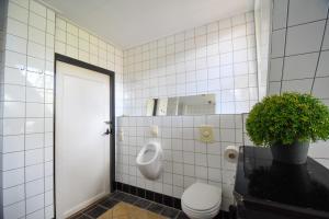 a bathroom with a urinal and a toilet and a potted plant at Klein Nieuwe Wegen in Ons Belang +14 photos